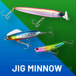 JIG MINNOW