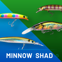 MINNOW / SHAD