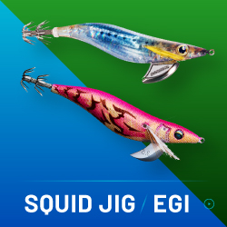 SQUID JIG / EGI