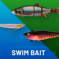 SWIM BAIT
