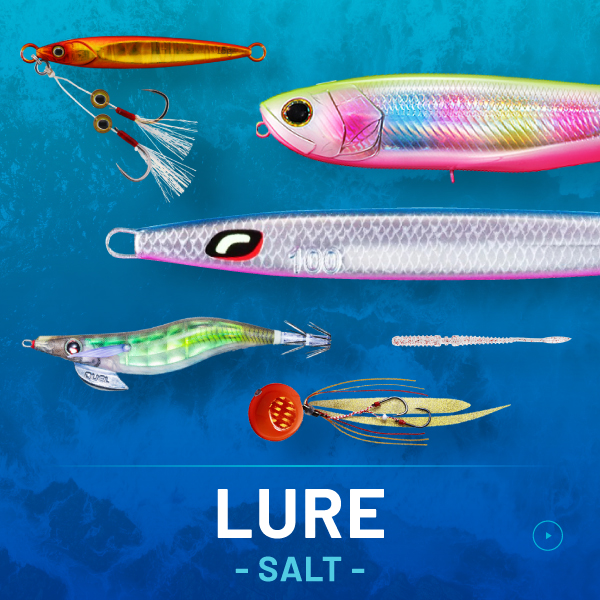 LURE (SALT)