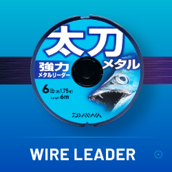 WIRE LEADER