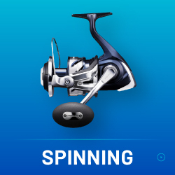 SPINNING REEL