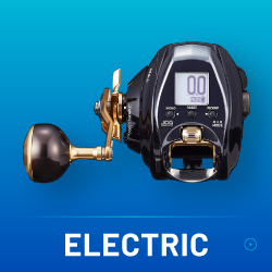 ELECTRIC REEL