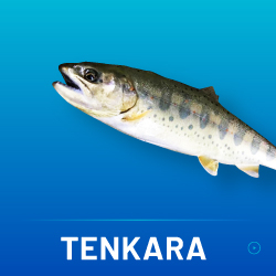 TENKARA