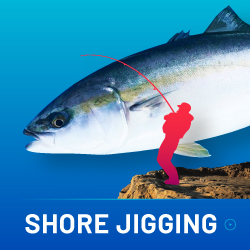 SHORE JIGGING