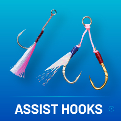 ASSIST HOOKS