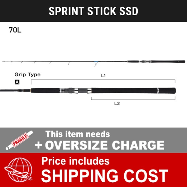 SPRINT STICK SSD