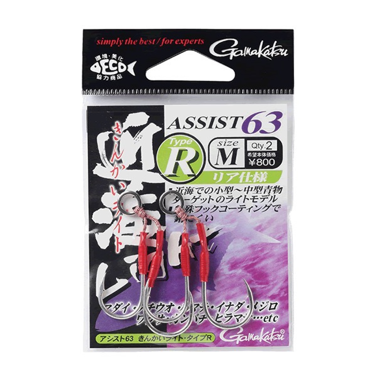 ASSIST 63 KINKAI LIGHT TYPE R