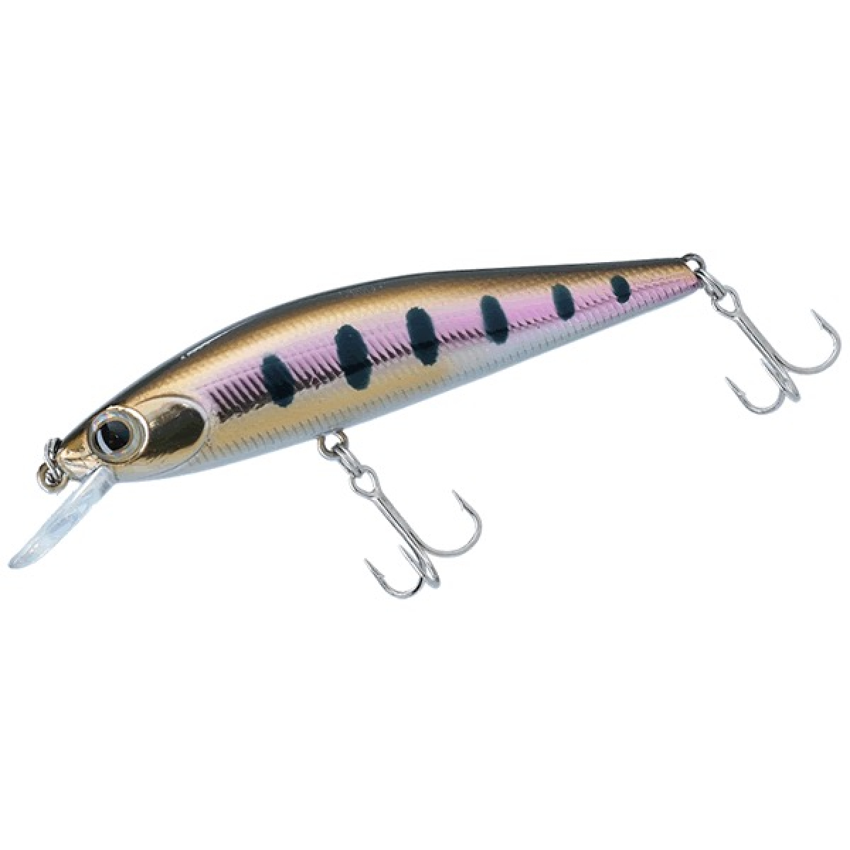 DR. MINNOW 2 50F