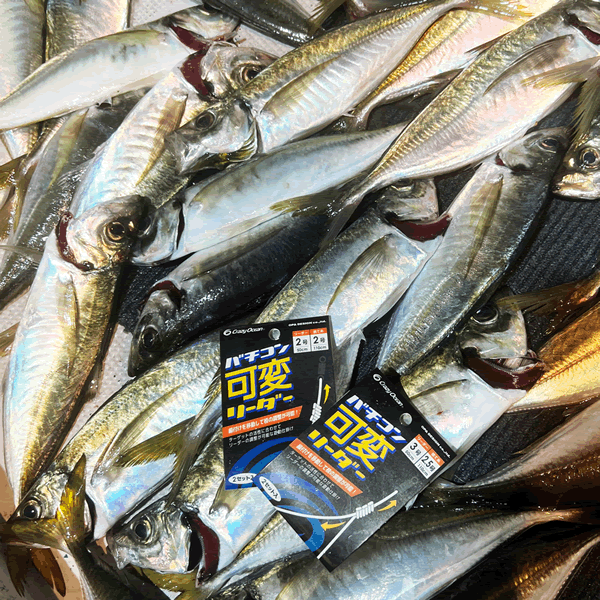 BACHIKON KAHEN LEADER