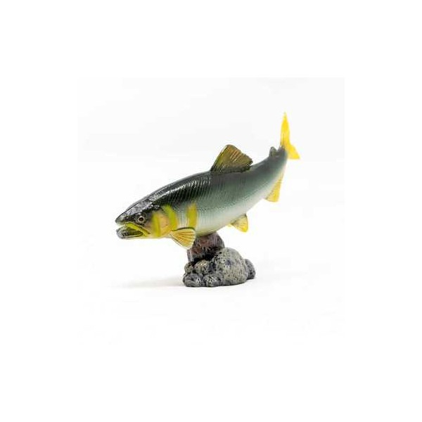 AQUA FISH MINI MODEL