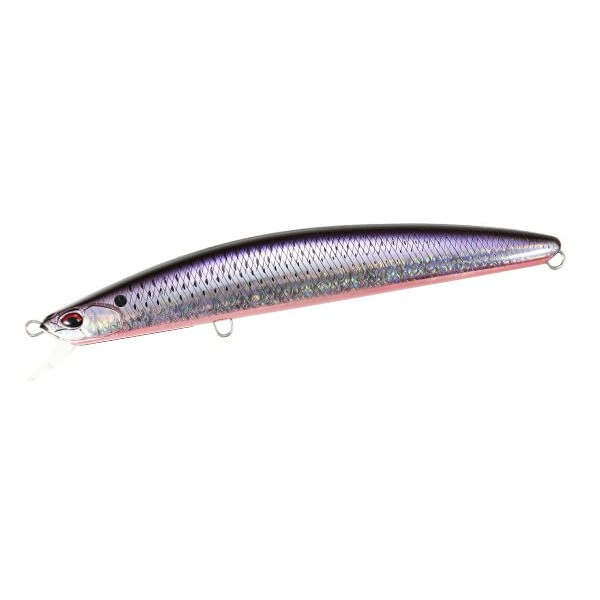 TIDE MINNOW GHOST 170F ( Box Damaged )